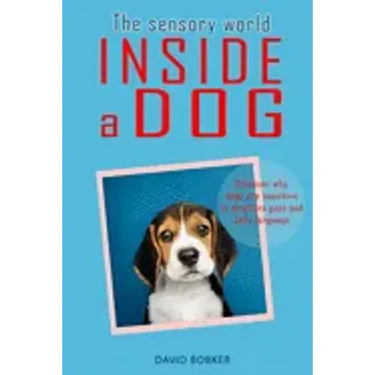 The Sensory World Inside a Dog: Discover why dogs are sensitive to emotions, gaze and body language