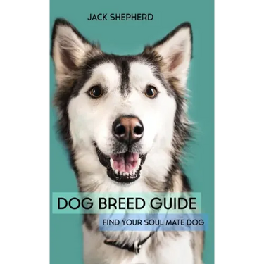 Dog Breed Guide: Find Your Soul Mate Dog