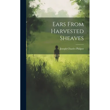 Ears From Harvested Sheaves