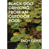 Black Dog Drinking from an Outdoor Pool