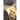 Yellow Woman and a Beauty of the Spirit