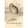 Joey the Motor Home Mouse