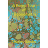 A Romp Tour of Trigonometry