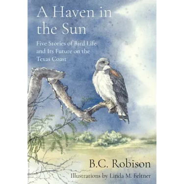 A Haven in the Sun: Five Stories of Bird Life and Its Future on the Texas Coast