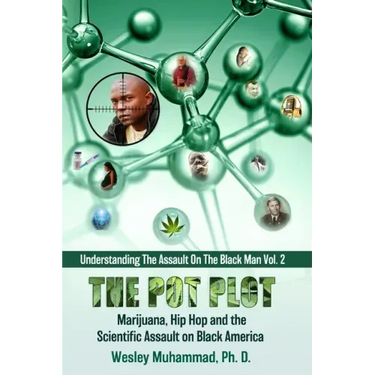 The Pot Plot: Marijuana, Hip Hop and the Scientific Assault on Black America