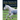 Horse Anatomy for Performance: A Practical Guide to Training, Riding and Horse Care