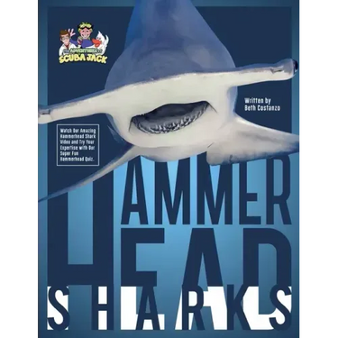 Hammerhead Sharks