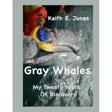 Gray Whales My Twenty Years Of Discovery