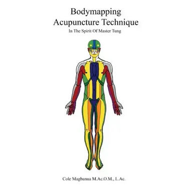 Bodymapping Acupuncture Technique: In the Spirit of Master Tung