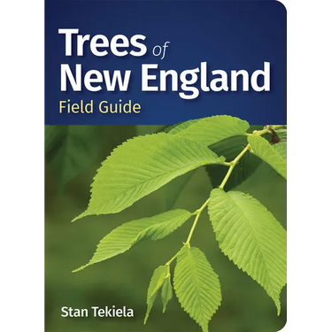 Trees of New England Field Guide