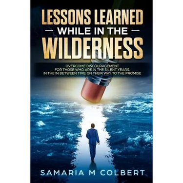 Lessons Learned in the Wilderness: Overcoming Discouragement: For Those Who Are in the Silent Years, in the in Between Time on Their Way to the Promis
