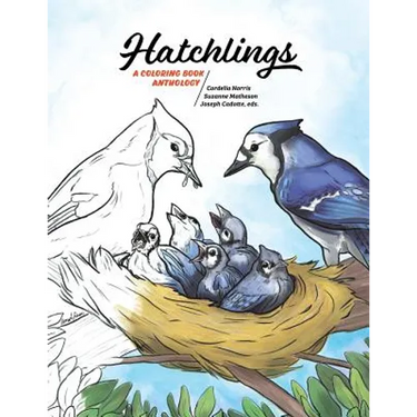 Hatchlings: A Coloring Book Anthology