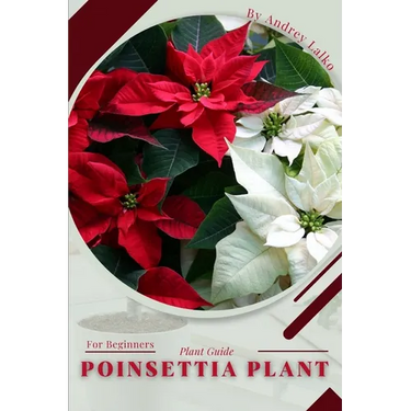 Poinsettia Plant: Plant Guide