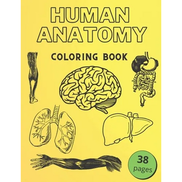 Human Anatomy Coloring Book: Informative Guide To The Human Body (internal organs the nervous system, reproductive systems and limbs) For Kids