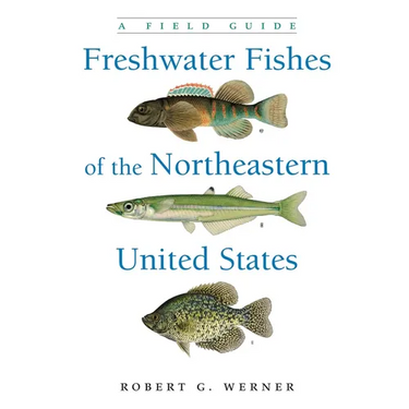Freshwater Fishes of the Northeastern United States: A Field Guide