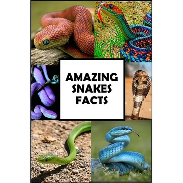 Amazing Snakes Facts: Fun Facts about Snakes Guaranteed to Blow Your Mind
