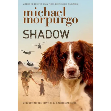 Shadow