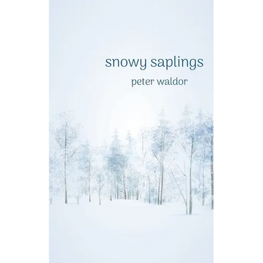 Snowy Saplings