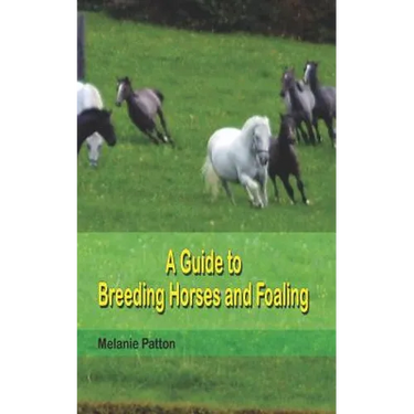 A Guide to Breeding Horses and Foaling