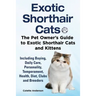 Exotic Shorthair Cats The Pet Owner's Guide to Exotic Shorthair Cats and Kittens Including Buying, Daily Care, Personality, Temperament, Health, Diet,