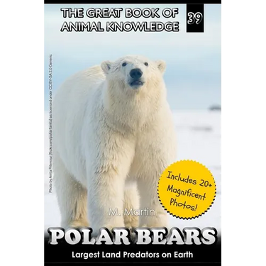 Polar Bears: Largest Land Predator on Earth