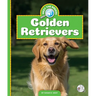 Golden Retrievers