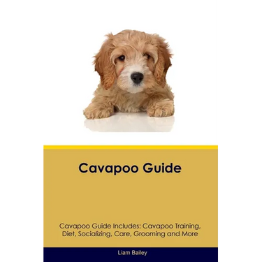 Cavapoo Guide Cavapoo Guide Includes: Cavapoo Training, Diet, Socializing, Care, Grooming, and More