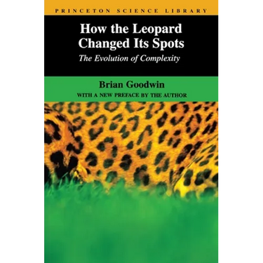 How the Leopard Changed Its Spots: The Evolution of Complexity