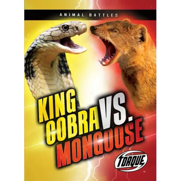 King Cobra vs. Mongoose