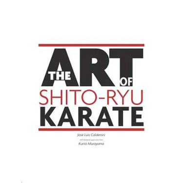 The Art Of Shito Ryu Karate