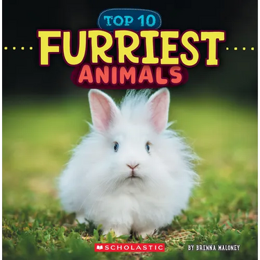 Furriest Animals (Wild World: Top 10)