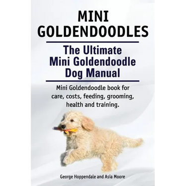 Mini Goldendoodles. The Ultimate Mini Goldendoodle Dog Manual. Miniature Goldendoodle book for care, costs, feeding, grooming, health and training.