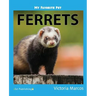 My Favorite Pet: Ferrets