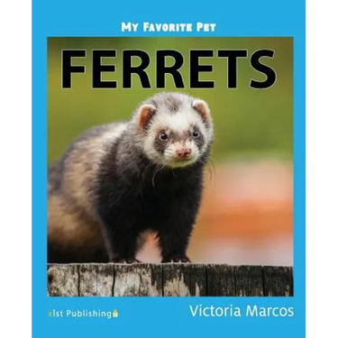 My Favorite Pet: Ferrets