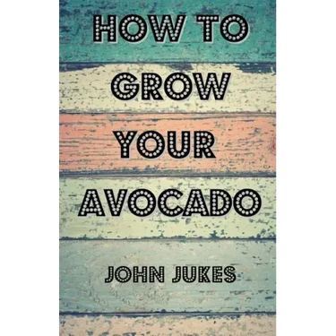 How To Grow Your Avocado