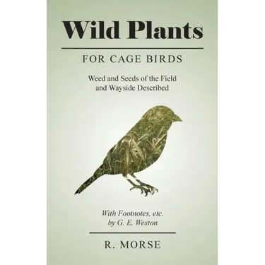 Wild Plants for Cage Birds - Weed and Seeds of the Field and Wayside Described - With Footnotes, etc., by G. E. Weston