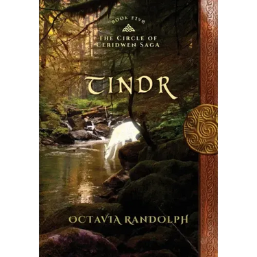 Tindr: Book Five of The Circle of Ceridwen Saga