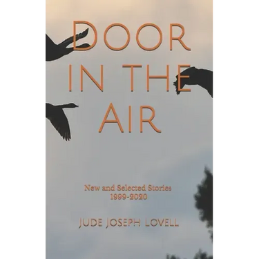 Door in the Air: New and Selected Stories, 1999-2020