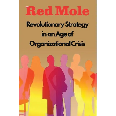 Revolutionary Strategy in an Age of Organizational Crisis