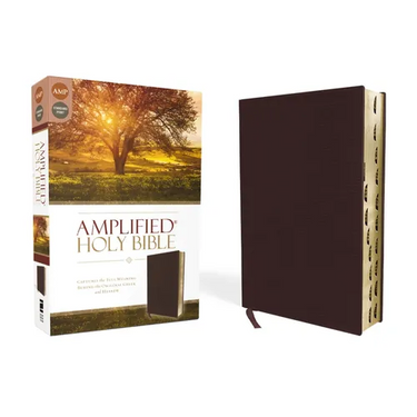 Amplified-Am: Captures the Full Meaning Behind the Original Greek and Hebrew