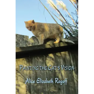 Painting the Cat's Vision