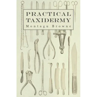 Practical Taxidermy: A Manual of Instruction to the Amateur in Collecting, Preserving, and Setting up Natural History Specimens of All Kind