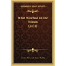 What Was Said In The Woods (1851)