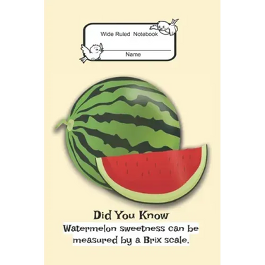 Composition Book: Wide Rule- Watermelon