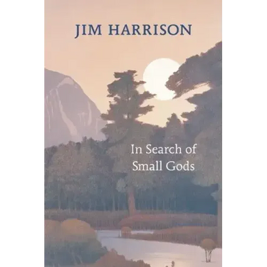 In Search of Small Gods