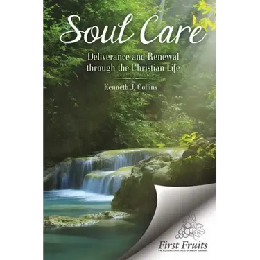 Soul Care: Deliverance and Renewal through the Christian Life