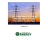 U.S. Department of Energy Electromagnetic Pulse Resilience Action Plan