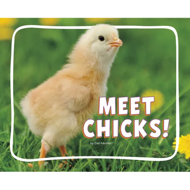 Meet Chicks!