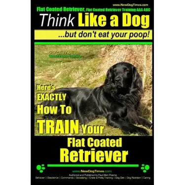 Flat Coated Retriever, Flat Coated Retriever Training AAA AKC Think Like a Dog But Don't Eat Your Poop! Flat Coated Retriever Breed Expert Training: H