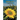 Prosilio: Toward the Sun